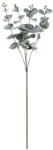  Eukaliptusz ág, 60 cm (SZK1)