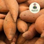  Batáta édesburgonya Akció 70 %