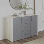 haaus Comoda Malmo, 3 Sertare, 2 Usi, Stejar Alb/Antracit, 120 x 42 x 80 cm (922771)