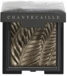 Chantecaille Luminescent Eye Shades Rhino 2.5 g