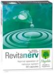 Magnalabs Revitanerv, 30 capsule, Magnalabs