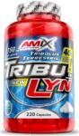 Amix Nutrition TribuLyn 40%, 750 mg, 220 capsule, Amix