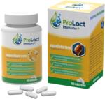ProLact Immuno+ Probiotic pentru o imunitate bună, 60 capsule, ProLact
