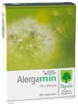 Magnalabs Alergamin, 30 capsule, Magnalabs