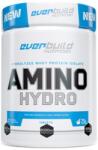 Everbuild Nutrition Pure Amino Hydro, 300 tablete, Everbuild