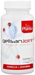 Artesania Agricola Plantis Gelisan Joint Formulă pentru articulații, 60 capsule, Artesania Agricola