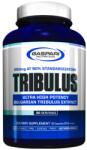 Gaspari Nutrition Tribulus, 90 capsule, Gaspari Nutrition