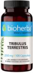 Bioherba Tribulus Terestris, 250 mg, 100 capsule, Bioherba