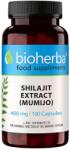 Bioherba Shilajit Extract (Mumijo), 400 mg, 100 capsule, Bioherba