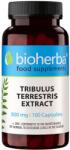 Bioherba Tribulus Terrestris Extract, 300 mg, 100 capsule, Bioherba