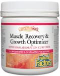 Natural Factors CurcuminRich Muscle Recovery & Growth Optimizer, 156 g, Natural Factors