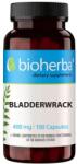 Bioherba Bladderwrack Extract, 400 mg, 100 capsule, Bioherba