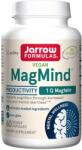 Jarrow Formulas MagMind Productivity, 60 capsule, Jarrow Formulas