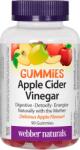 Webber Naturals Apple Cider Vinegar Gummies, 90 tablete de jeleu, Webber Naturals