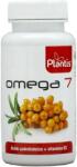 Artesania Agricola Plantis Omega-7, 60 capsule gelatinoase moi, Artesania Agricola