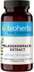 Bioherba Bladderwrack Extract, 250 mg, 100 capsule, Bioherba