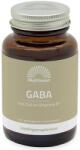 Mattisson Healthstyle GABA with Zinc & Vitamin B1, 60 tablete, Mattisson Healthstyle (MT2504)