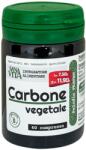 Paladin Pharma Sanavita Carbone Vegetale Cărbune activ, 334 mg, 60 tablete, Paladin Pharma