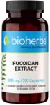 Bioherba Fucoidan Extract, 280 mg, 100 capsule, Bioherba