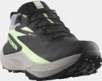 Salomon Genesis GTX W D