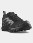 Salomon Wander Gtx W D