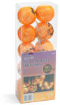 Family Sir de Lumini tip Lampion cu LED de Halloween (58120)