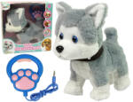LEAN Toys Câine Husky Interactiv din Pluș cu Lesă și Funcții Educaționale (9964)