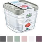 BackHomeLiving Set de 3 cutii de depozitare Trend Box - dreptunghiulare - 4 litri (HOB020977)