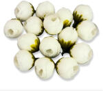  Begónia virágfej, fehér. Mérete: 2 cm. Az ár egy darabra vonatkozik