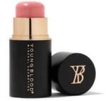 Youngblood Machiaj Ten VividLuxe Crème Blush Stick Pink Proseco 2.5 g
