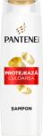 Pantene Sampon pentru par vopsit Pro-V Color Protect, 400ml, Pantene