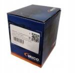 Vaico Szegecs (V20-0858)