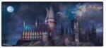 Pyramid International Covoraș de birou piramidal, Harry Potter - Lumea vrăjitorilor, 80 x 30 cm, material textil, antiderapant, pentru tastatură și mouse pad (GP2404946) Mouse pad