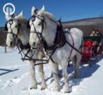  Lovasszán Túra a Mátrában