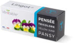 Véritable Lingot Pansy - BIO