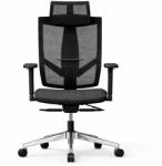 FlexiSpot Ergonomikus irodai szék BS6, Fekete- fejlett ergonómiai kialakítás, állítható fejtámla és kartámasz, hálós háttámla, hosszú távú ülőmunkához (BS6B)