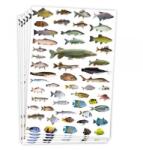 playbox PlayBox: Halas matricák 300 db-os