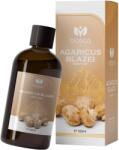 Biotica 1961 Tinctură de ciuperci Agaricus blazei, 100 ml, Biotica 1961