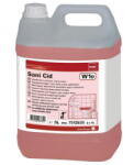 Diversey Odorizant toaleta Detergent grupuri sanitare bai - Sani Cid Taski 5 litri (7512835)