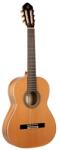Ortega Guitars R20GRG klasszikus gitár