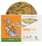 besgrow Sphagnum Moha Tőzeg Besgrow SpagMoss 100g 8L Sphagnum Moha Subsztrát (9416922000843)