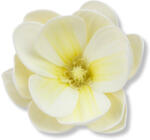 Magnolia fej polifoam krém - papelito