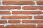 ELK Caramida aparenta Roman Tiles, Monastery, 170x40x15 mm (ELK-ROMANT-MON)