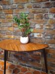 ELK Caramida aparenta Old Brick Tiles, Rusted, 270x65x15 mm (ELK-OLDB-RUSTED)