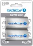 everActive R20 Akku 2DB 5500 Silver Line (EVHRL20-5500)