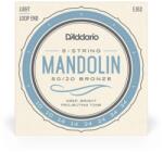 D'addario Corzi mandolina - D'Addario EJ62 (EJ62)