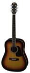 Aria Chitara Acustica Fiesta FST - 300 BS (6201)