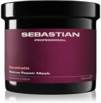 Sebastian Professional Penetraitt maszk sérült, vegyileg kezelt hajra 500 ml