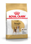 Royal Canin BHN Beagle Adult 12kg - tenyesztoitap