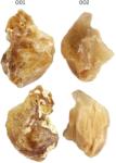  Cuart Amfibol (Cuart Inger) mineral brut - 35-53 x 24x37 x 18-28 mm - aspect cald cadou cu semnificatie energetica - 1 Buc